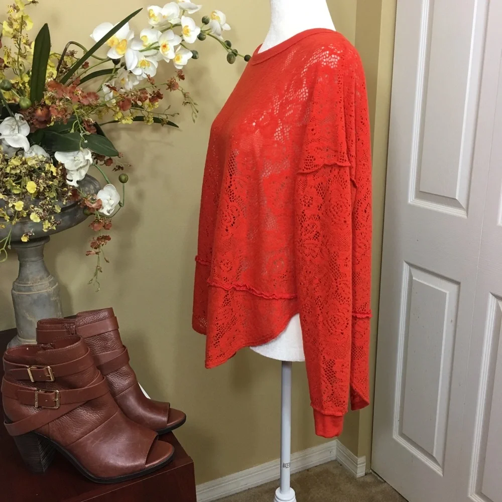 NWT FREE PEOPLE NOT COLD IN THIS LONG SLEEVE‎ SHEER KNIT TOP Boho Chic Romantic